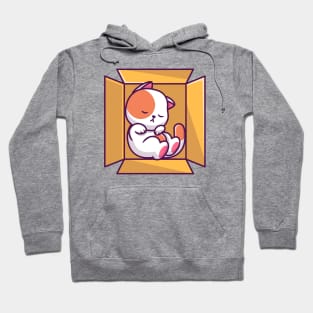 Cute Cat Sleeping In The Box Cartoon Hoodie